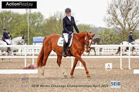 Image result for Abinger Forest Riding Club