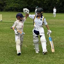 Image result for St Ives Cricket Club