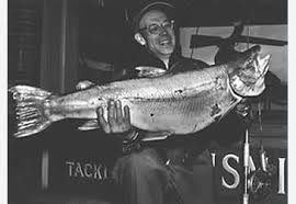 Image result for Salvelinus confluentus