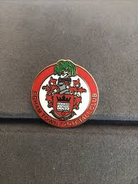 Image result for Egham Town Fc