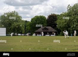 Image result for Wood Street Village Cricket Club