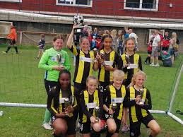 Image result for Brendon Bees Junior Football Club