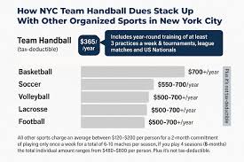 Image result for Ashford Tanners Handball Club