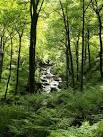 SD9728 : Colden Clough - via Daymix