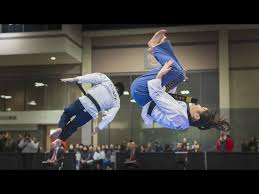 Image result for ENGLISH INTERNATIONAL ALLSTYLES TAEKWONDO