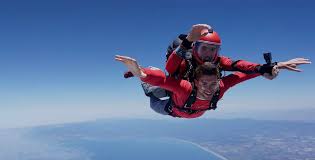 Image result for skiptondivers