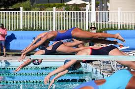 Image result for Black Country Barracudas Sub Aqua Club