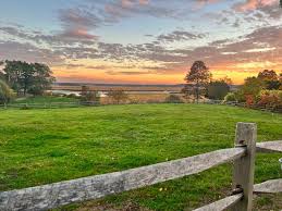 Image result for Ipswich Open Ultimate