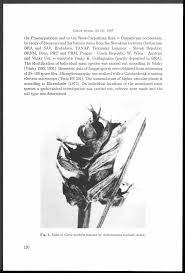 Attēlu rezultāti vaicājumam “Anthracoidea”