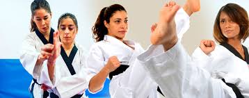 Image result for New Milton Taekwondo Club