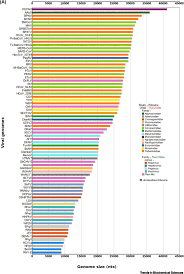 Image result for genome sizes