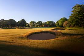 Image result for Tadmarton Heath Golf Club