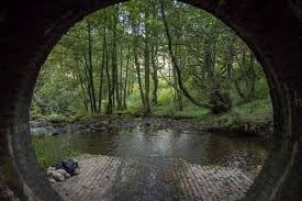 Image result for Barrow Bridge Club