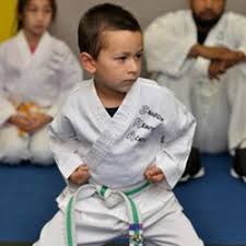 Image result for Okami Karate & Fitness Schools