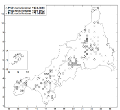 Attēlu rezultāti vaicājumam “Philonotis fontana sporophyte”