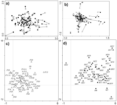 Attēlu rezultāti vaicājumam “Breidleria pratensis”