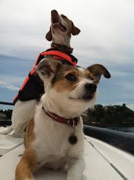 Image result for Wear Boating Association
