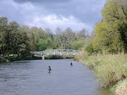 Image result for Carrick Angling Club