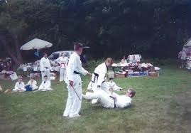 Image result for Springwood Karate