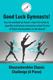 Image result for Forest Of Dean Gymnastics Club