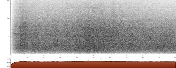 Image result for Synthliboramphus antiquus