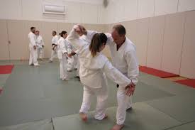 Image result for Epsom & Ewell Karate Club