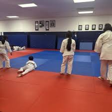 Image result for Mintlaw Judo Club