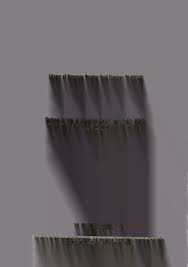 Attēlu rezultāti vaicājumam “Didymium minus stalked”