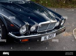 Image result for Black 1983 Jaguar
