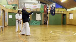 Image result for Levern Tora-Kai Karate Club