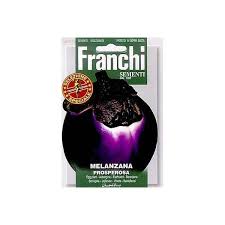 Afbeeldingsresultaat voor melanzana prosperosa eggplant