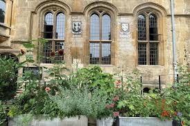 Image result for Oxford University Octopush Club