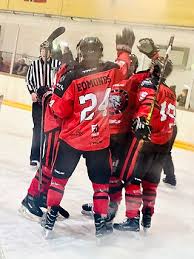 Image result for Aberdeen Linx Skating Club