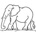 Elephant coloring page