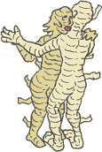 Kép