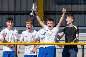Image result for World of Shinty