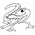 Lizard coloring page