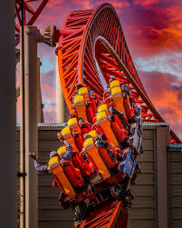 Image result for Maverick Divers