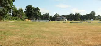 Image result for South Wilts Cricket Club