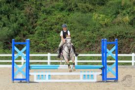 Image result for Chobham and District Riding Club