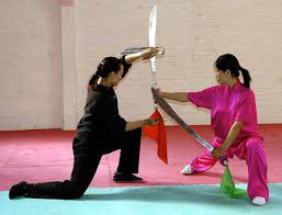 Image result for WUQI KUNG FU AND HEALTH SOCIETY