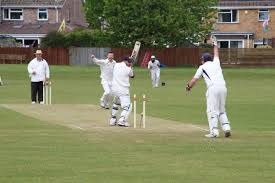 Image result for Dinas Powys Cricket Club