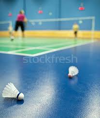 Image result for Shuttlecocks Badminton Club