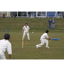 Image result for Vale Cricket Club