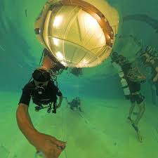 Image result for Apneists UK