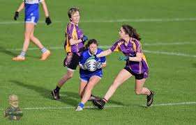 Image result for Carryduff Gaelic Athletic Club
