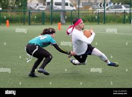 Image result for Chichester Sharks