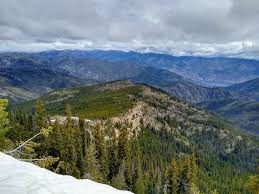 Image result for Dearne Valley Devils