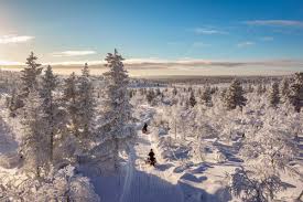 Image result for Laplandit-(Ce)