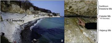 Image result for stevns klint